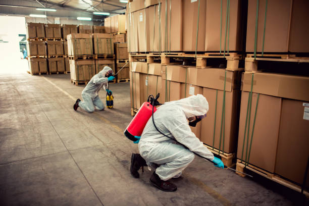 Pest Control for Restaurants in Minden, NV