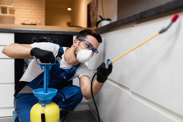 Best Mosquito Control Services  in Minden, NV