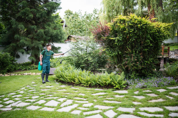 Best Mosquito Control Services  in Minden, NV