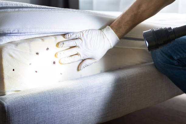 Best Best Pest Control Companies  in Minden, NV