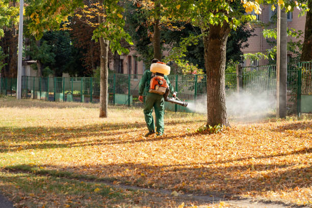 Best Pest Control for Restaurants  in Minden, NV