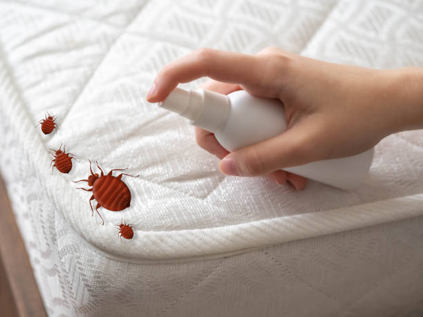  Minden, NV Pest Control Pros