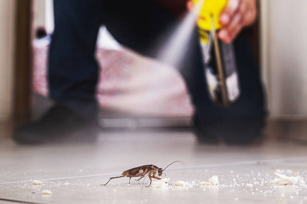 Best Best Pest Control Companies  in Minden, NV
