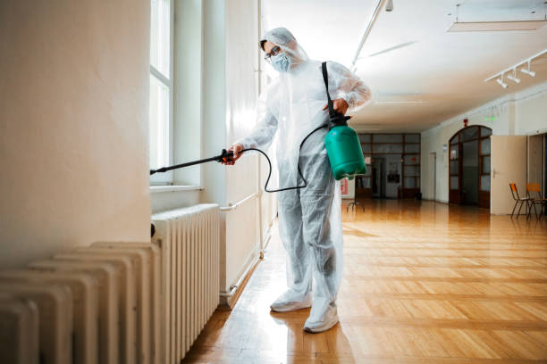 Best Pest Removal Services  in Minden, NV