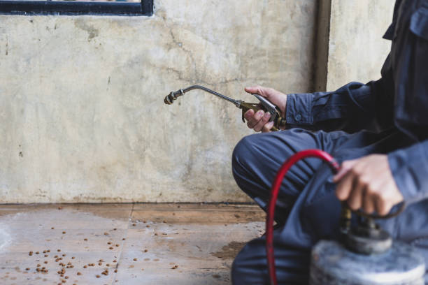 Best Affordable Pest Control Services  in Minden, NV